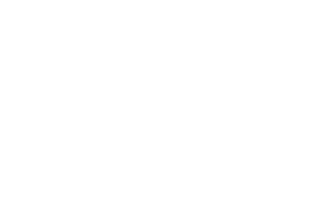aruba travel insurance logo